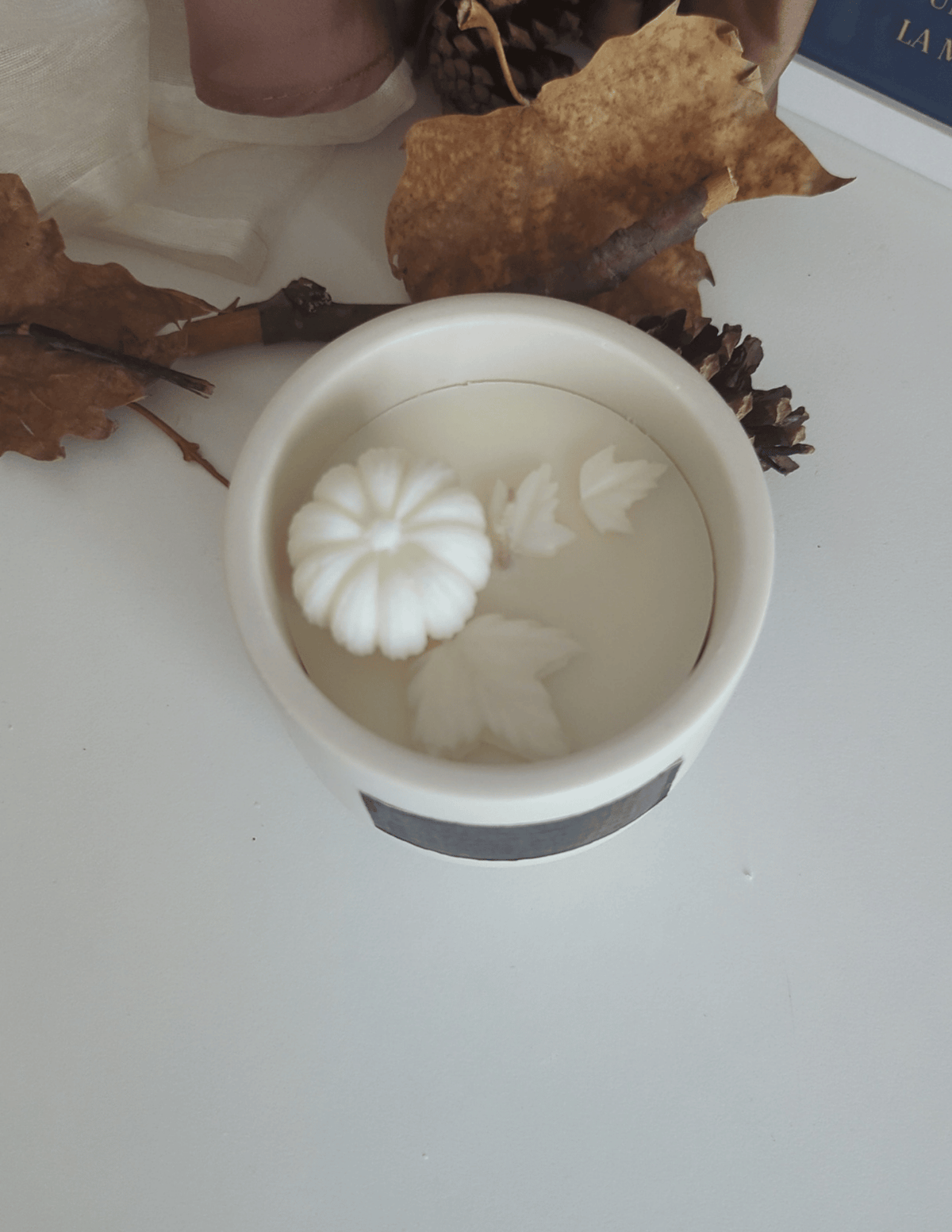 Bougie parfumée automne Éclat de Citrouille – Bougie artisanale avec Message Caché – 240 g