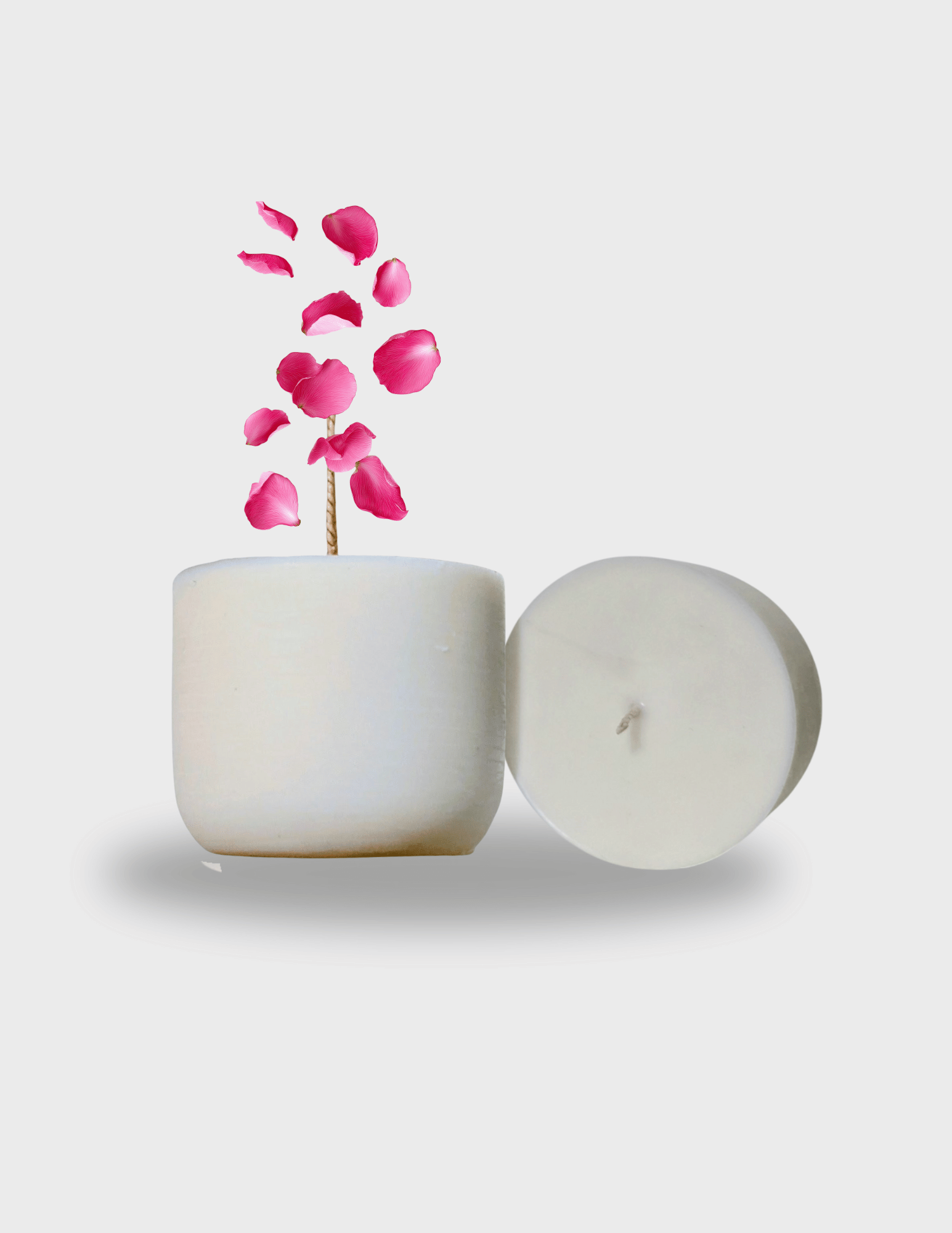 Renaissance de la Constellation de pétales – Recharge Bougie parfumée