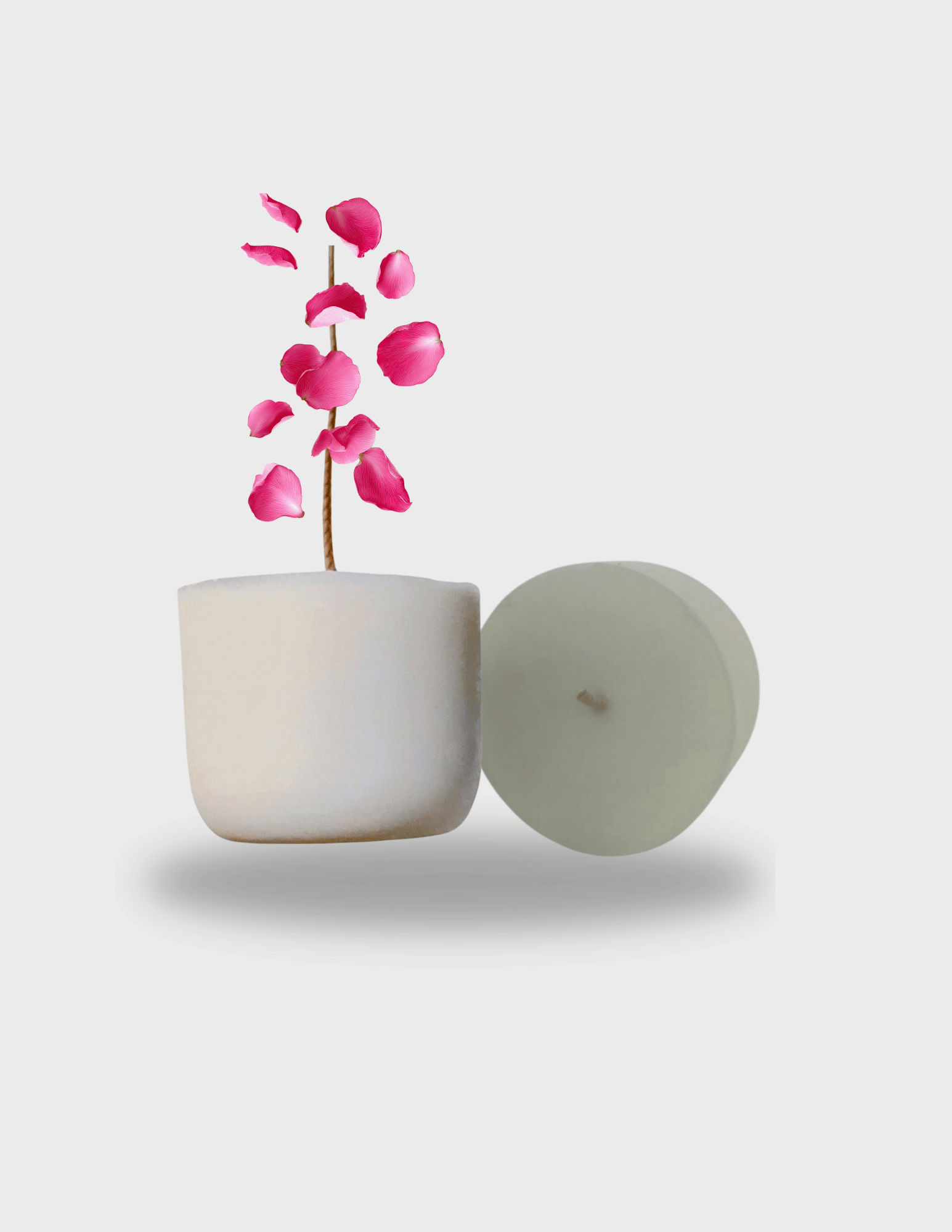 Renaissance de la Constellation de pétales – Recharge Bougie parfumée