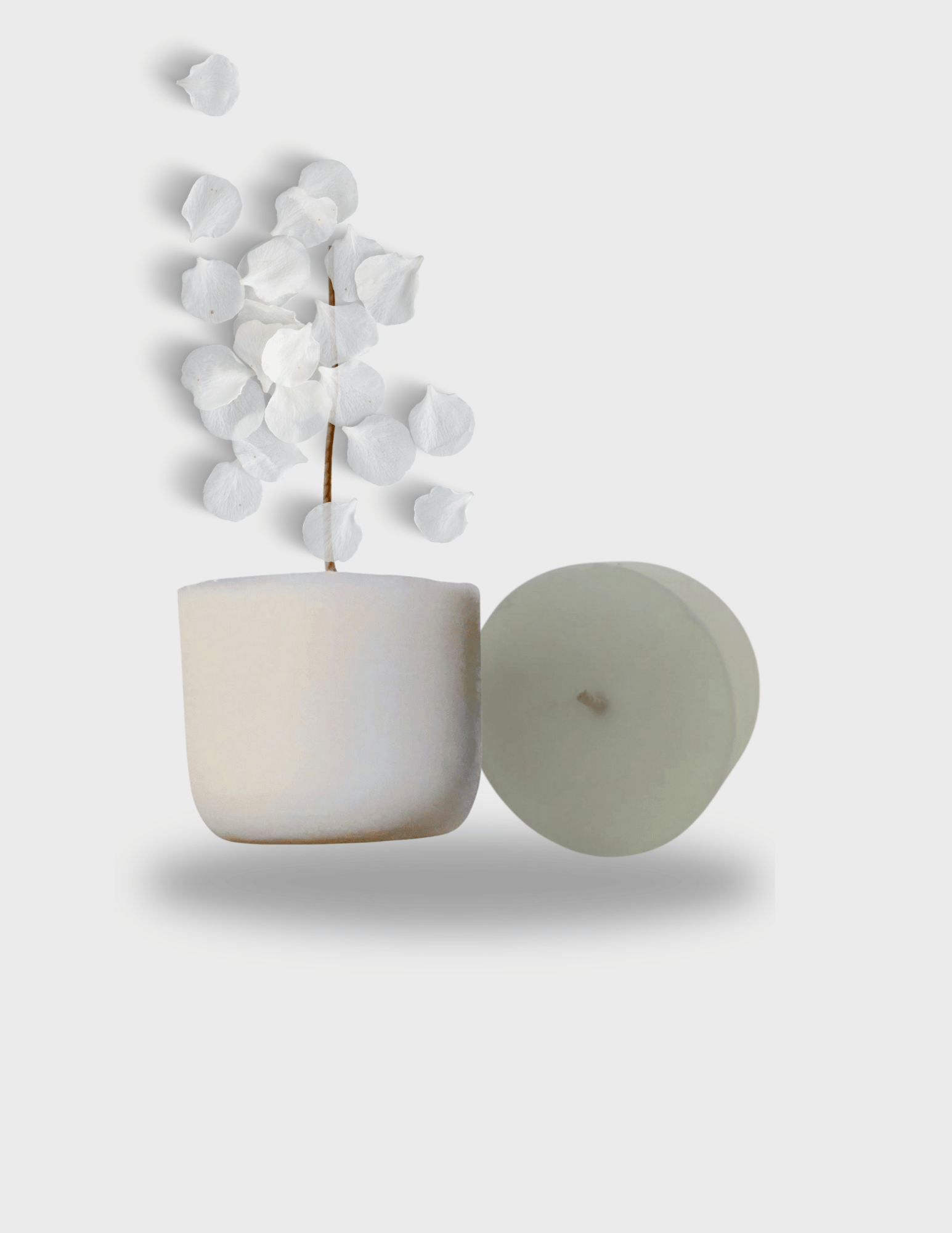 Renaissance de l'Étoile de velours – Recharge Bougie parfumée